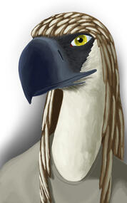 eagle lady